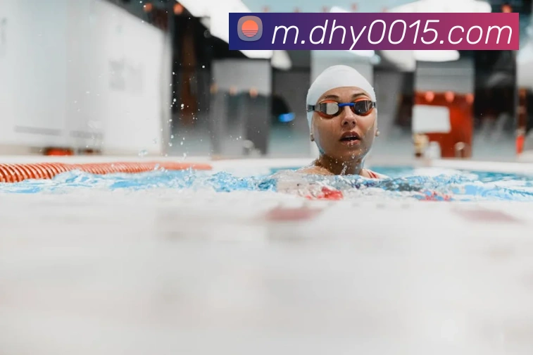 奖项证书